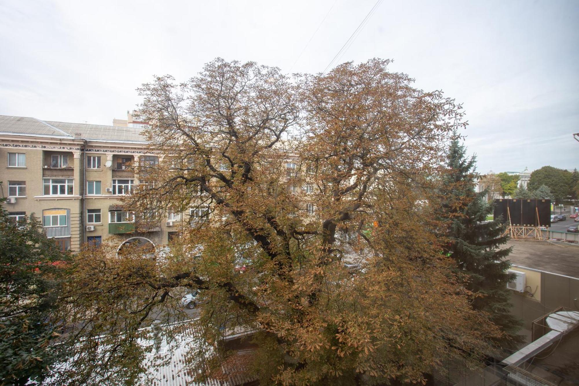 Royal Apartment On Pushkinskaya Kharkiv Eksteriør billede
